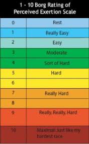 borg scale rpe