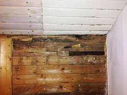 Image result for site:byggahus.se rötskada