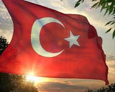 La bandera es llamada ay yıldız (en turco: 19 Ideas De Bandera De Turquia Turquia Bandera Estambul