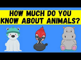 This trivia is all about different sea animals. Video Animal Trivia