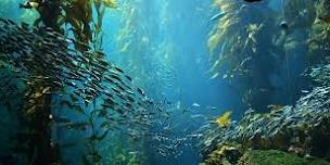 Kelp Forests - Hosted by PS Science