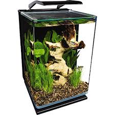 The filtration components are craftily. How Many Neon Tetras Per Gallon The Pet Supply Guy