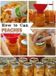 You can use this ice to add a slight hint of color and fruit flavor to water, or. Canning 101 How To Can Peaches One Hundred Dollars A Month