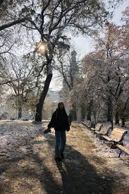 amelie on twitter in 2021 winter aesthetic photo winter wonder