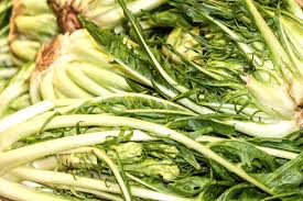 La pasta con la cicoria è un primo piatto molto semplice da preparare con questa verdura dal gusto un po' amaro che si sposa.con l'aglio e il peperoncino. Cicoria Benefici E Proprieta Di Un Alimento Detox E Depurativo