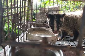 10 points11 points12 points submitted 2 months ago by lx881219. é•æ³•é¤Šä¿è‚²é¡žç™½é¼»å¿ƒé£¼ä¸»è¾¯ç¨± æ˜¯ç‰ ä¸èµ°