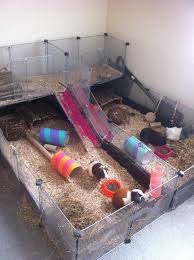 Small animal cage, free shipping & low prices, shop now! Cheap Animal Cages Ideas On Foter