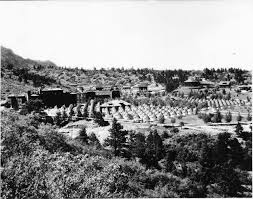 Woodmen Tb Sanitorium Colorado Springs Colorado 1925 Now Mount Saint Francis Nursing Center Where I Work Colorado Springs Colorado Native Spring History