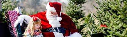 Make sure you follow us on facebook, twitter, instagram or pinterest for even more great toddler ideas. Choose And Cut Christmas Tree Farm In Winchester Va