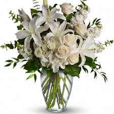 Allen's flowers and plants, vector. Vista Florist Flower Delivery By Tri City Florist