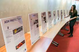 Tableaux Decrivant L Activite Des Entreprises De Chaque Laureat Ile De France Creation Entreprise Entreprise