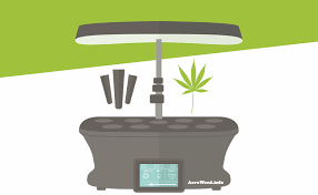 And the aerogarden pro 200 comes with herb seeds. How To Grow Weed In Your Aerogarden Step By Step Guide