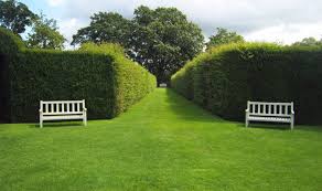 Get reviews, hours, directions, coupons and more for alan's lawn care & tree service at 24485 242nd st, eldora, ia 50627. Home Turf Alan Titchmarsh On Keeping The Grass Green Express Co Uk