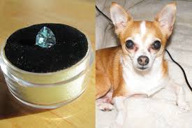 Memorialize your lost pet with a cremation urn necklace for their ashes. That Cat Is A Real Jewel How Some Furry Friends Stay Precious Wsj