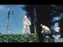 picnic best scene shunji iwai 1996 cine paleta de color imagenes para estados