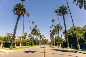 Contact us about selling your trees. 9 Best Trees To Plant In Tropical Zone 10