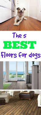 What S The Best Flooring For Dogs Dog Friendly Flooring Dog Flooring Best Wood Flooring