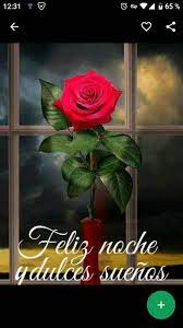 Imagenes De Buenas Noches Con Rosas Y Flores Para Android Apk Baixar
