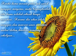 Sketsa bunga matahari tersebut terlihat sangat detail dan nyata menyerupai bentuk aslinya. Koleksi Kata Kata Indah Tentang Bunga Matahari Cikimm Com