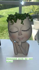 Only bought this plant today and haven't even potted it yet but ... love  it. ❤️