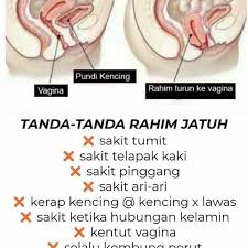 Sampai sekarang cuma sekarang week 13 kurang dah sikit. Zashop Nak Tau Tak Petanda Rahim Tidak Sihat Sakit Facebook