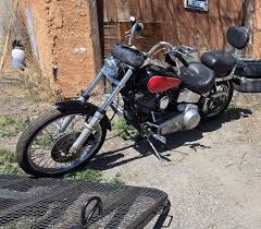 Image result for Dark Victory Red 1994 FXSTS