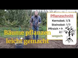 Ihn mit der schere passgerecht zu stutzen ist auch nicht die lösung, von daher pflanzt man ihn besser an einen passenderen platz im garten um. Obstbaum Pflanzen Leicht Gemacht Baum Pflanzen Wie Ein Profi Youtube