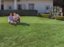 Maybe you would like to learn more about one of these? Netafim Subsurface Lawn Irrigation Turf Magazine