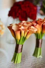 To this day, the shop has opened and operated every day of its existence. Trias Flowers And Gifts 262 Photos 192 Reviews Florists 6520 Bird Rd Miami Fl Phone Number Yelp