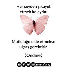 Mutluluk Basimiza Gokten Yagmaz Onu Bir Baskasi Bize Armagan Edemez Mutluluk Bir Secim Midir Kader Midir Yoksa Tamamen Tesaduflere M 2020 Guzel Soz Kader Kitap