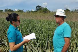 Aquí encontrará una lista detallada de todas las especies populares. Ucr Investiga Y Aporta Soluciones A Polemico Cultivo En Costa Rica