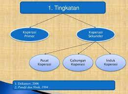 4 Tingkatan Koperasi Di Indonesia Struktur Dan Usahanya Lengkap