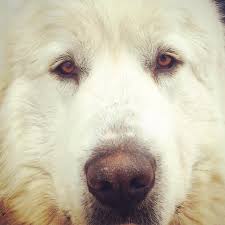 Crazy K Farm LLC added a new photo.