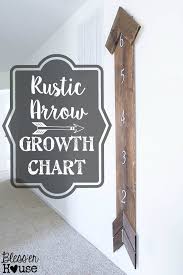 Diy Rustic Arrow Growth Chart