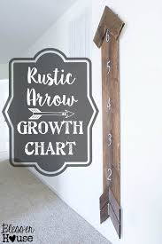 diy rustic arrow growth chart