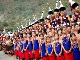 Image result for nagaland images