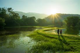 Bandar taiping adalah merupakan destinasi pelancongan di perak. 6 Best Taiping Hotel And Taiping Homestay With Swimming Pool