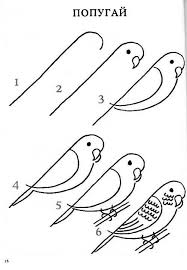 10 Wonderful Tips And Techniques For Realistic Colored Pencil Artists Ideas In 2020 Art Drawings Simple Drawing Tutorial Easy Bird Drawings