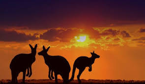 Les critères de recrutement en vigueur en australie. Ce Qu Il Faut Savoir Sur L Australie L Express