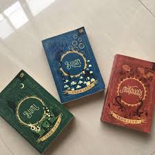 Namaku raib, usiaku 15 tahun, kelas sepuluh. Matahari Bungalow Tere Liye Bumi Bulan Matahari