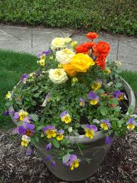 Maybe you would like to learn more about one of these? Hoosier Gardener These Plants Thrive In Spring Temperatures