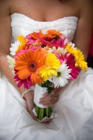 See more ideas about wedding bouquets, daisy wedding, gerber daisy wedding. Gerbera Daisy Bridal Bouquet