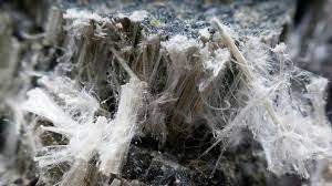 Mesothelioma is a cancer that most commonly starts in the layers of tissue that cover each lung (the pleura). Roche About Mesothelioma