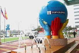 Some of the different glove options include latex, nitrile, vinyl, and surgical. Top Glove Sees Increase In Profit Margin In 2h20 The Star