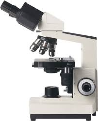 Microscope Types Parts History Diagram Facts