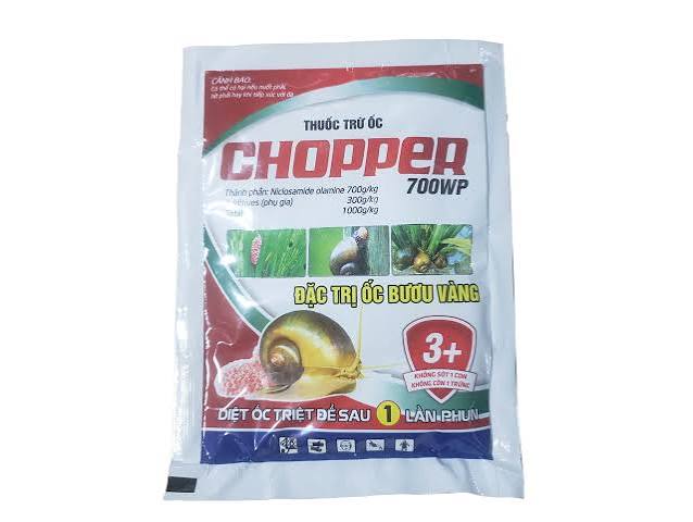 Chopper 700WP
