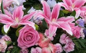 Check spelling or type a new query. Donate In Memory St Vincent S Foundation
