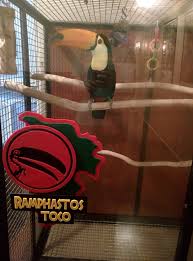 Ah Ah Ah You Didn T Say The Magic Word 36 Things Everyone Who Loves Jurassic Park Will Appreciate Palabras Magicas Parque Jurasico Palabras