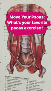 Tell Us About Your Favorite Psoas Major Exercise That You Teach In Your Pilates Yoga Fitness Or Dance Classes Or Private Sessions Medisch
