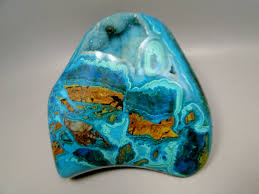 Image result for Chrysochloa